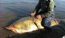 难忘的一件事钓鱼