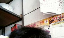 我给班级抹了黑