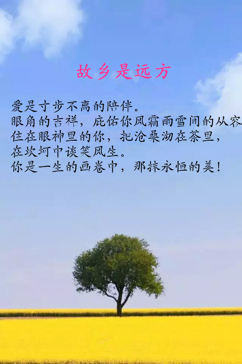 电皮袋