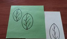 与蚕宝宝一起走过的日子