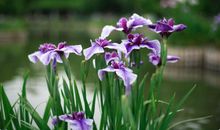 发掘心底最柔软的那方净土