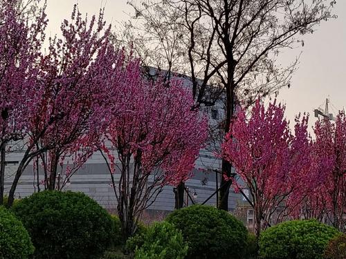3月份，这是怨恨