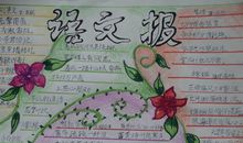 在语文中去感受生活吧