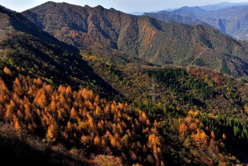 秋山