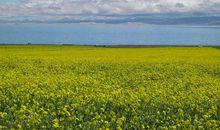 其实，我很幸福