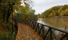 路是自己走出来的