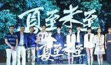 夏至未至读后感