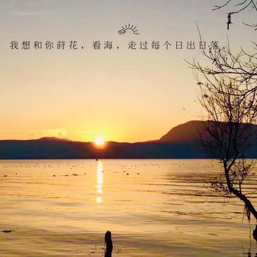 明天的阳光是新的