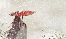 三千青丝已染雪