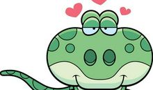 寒假里的有趣发现