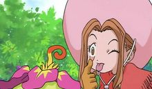 爱臭美的小仓鼠