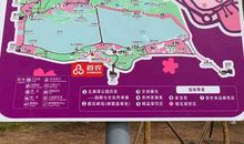 那段在玉渊潭的日子