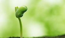 在逆境中学会成长