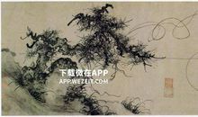 我是松柏，我骄傲