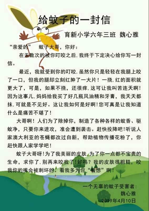 写给蚊子家族的一封信