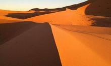 神奇的探险之旅作文撒哈拉沙漠