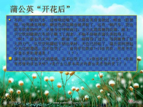 蒲公英梦续集