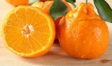 品味桔子