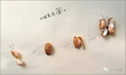 那时，我闯进了一只蝴蝶。