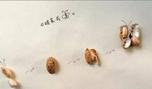 那时我破茧成蝶