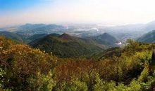 携手共创，森林绍兴