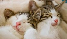 聆听，生命的磬音