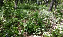 留住这段温暖时光