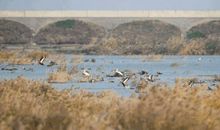 守候那一片净土