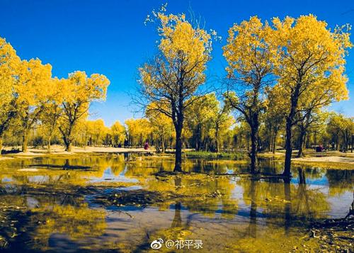 秋天是最美丽的季节
