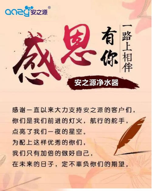 在感恩节中