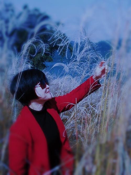 那个季节的春天