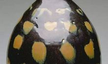 美丽独特的磁器