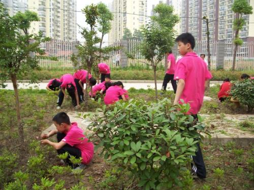 我学会了拉草。