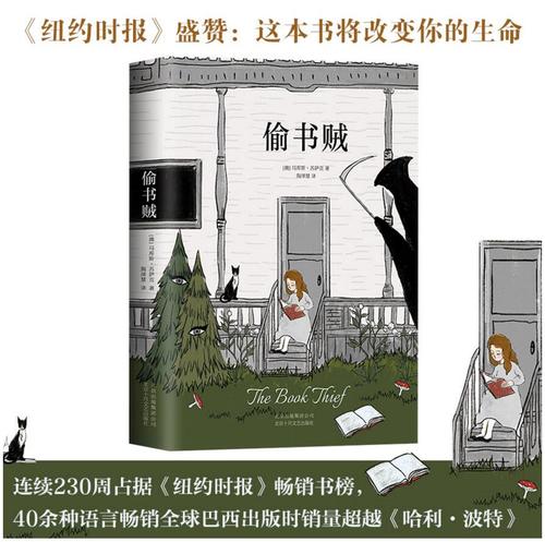 分享书的偷窃贼