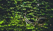 忘却时光，不忘你