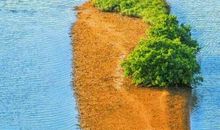 回到心中的港湾