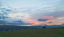 那段在大草原的日子