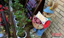 最美的那个角落