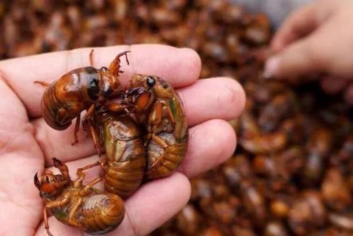 金的