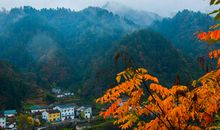 我愿秋常驻人间