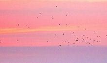 守住最美的天空