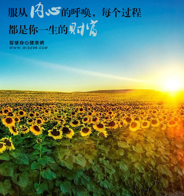 坚持我的心