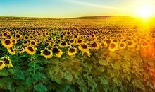 坚守触动了我的心灵