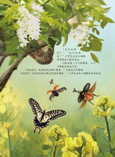我找到了蜜蜂的秘密