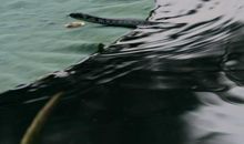 溺爱筑成荆棘路