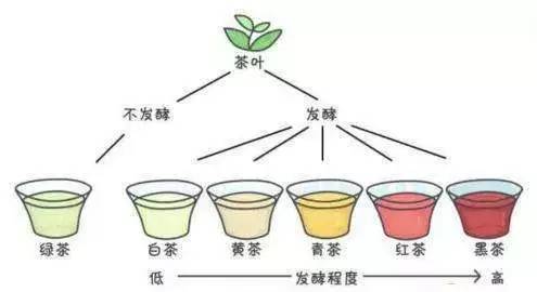中国茶在我眼中