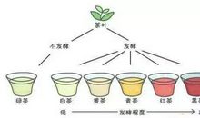 我眼里的中国茶