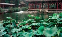 秀丽的恭王府花园