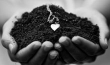 把幸福捧在手心