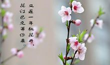 又是一年桃花香